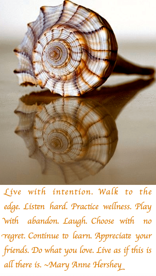 Screen Shot 2017-07-27 at 10.48.32 PM.png