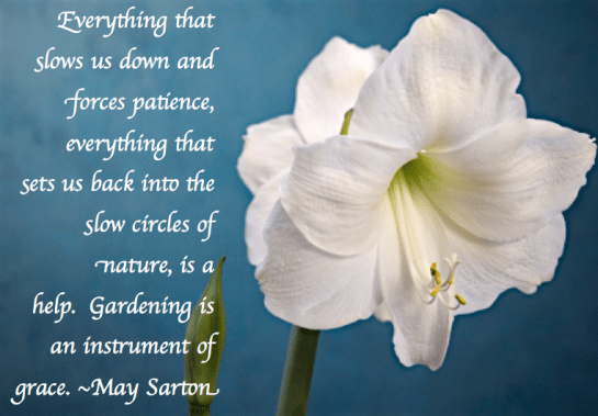 Screen Shot 2017-07-27 at 10.53.13 PM.png