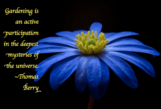 Screen Shot 2017-07-27 at 11.06.38 PM.png