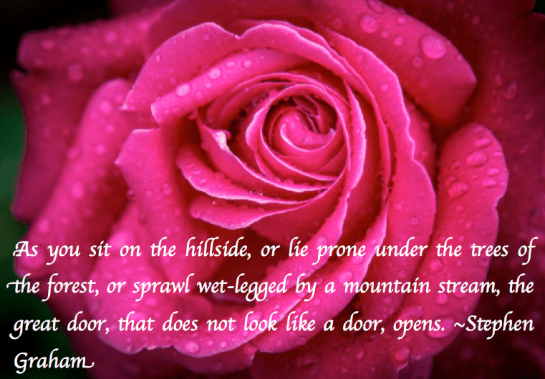 Screen Shot 2017-07-27 at 11.10.15 PM.png