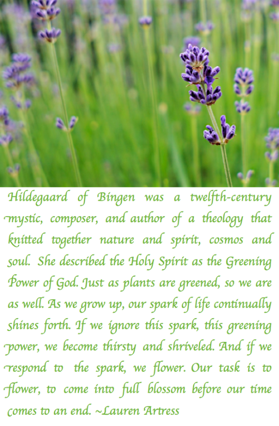 Screen Shot 2017-07-27 at 11.17.36 PM.png