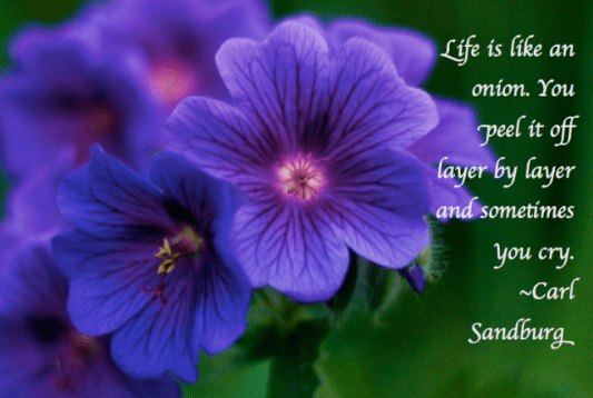 Screen Shot 2017-07-27 at 9.41.22 PM.png