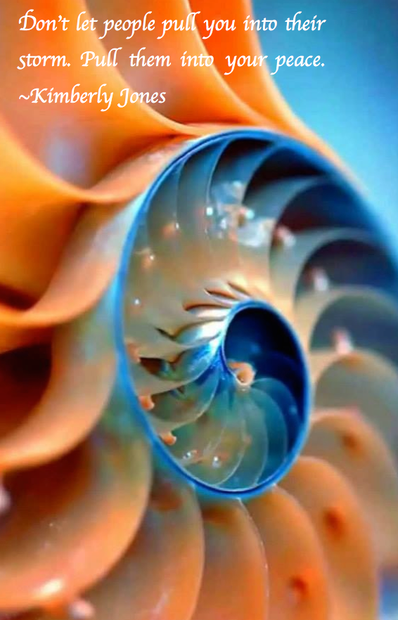 Screen Shot 2017-07-31 at 10.37.42 PM.png