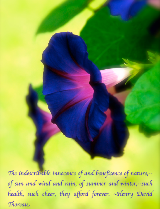 Screen Shot 2017-07-31 at 10.42.30 PM.png