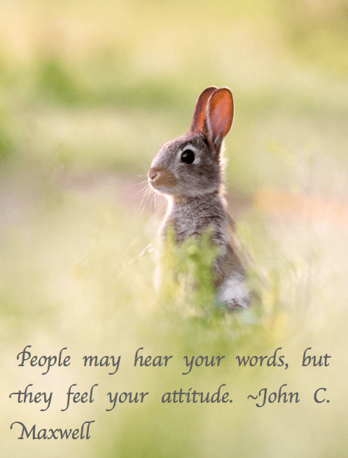 Screen Shot 2017-07-31 at 10.45.45 PM.png