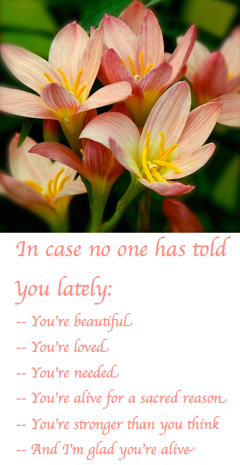 Screen Shot 2017-07-31 at 9.18.07 PM.png