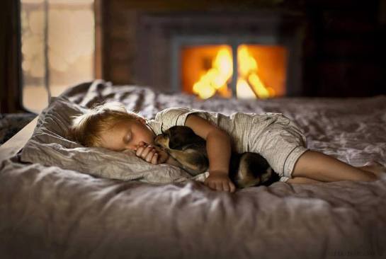 20799152_1503563476370263_8719018875035655743_n