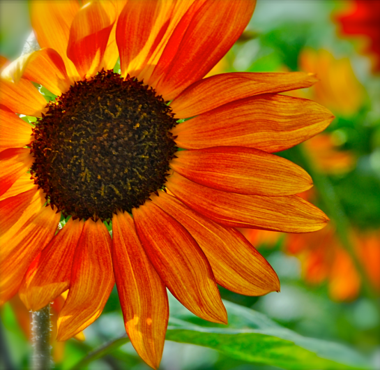 Screen Shot 2017-08-01 at 9.26.38 PM.png