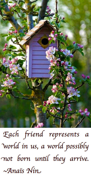 Screen Shot 2017-08-02 at 11.05.16 PM.png