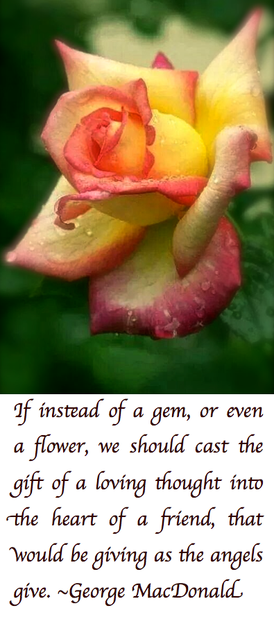 Screen Shot 2017-08-02 at 11.14.03 PM.png