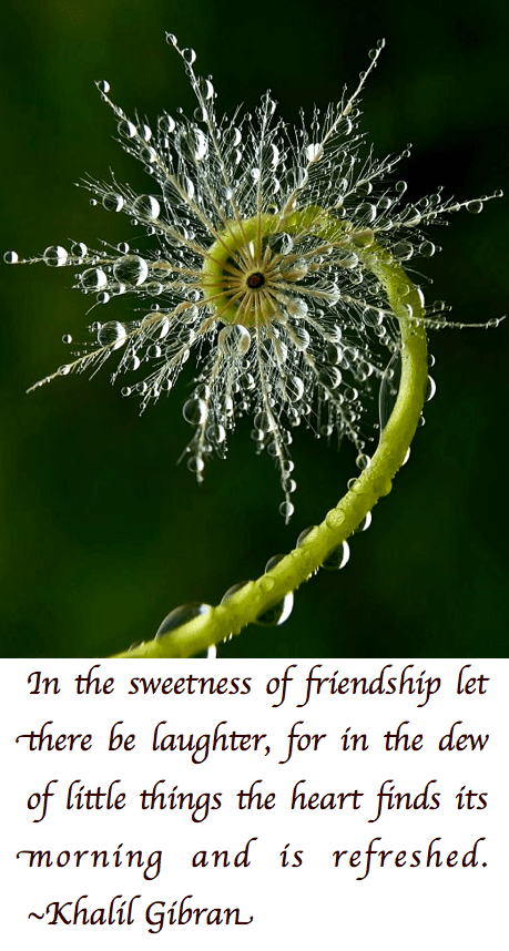 Screen Shot 2017-08-02 at 11.16.59 PM.png