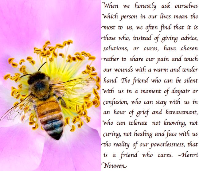 Screen Shot 2017-08-02 at 11.23.13 PM.png