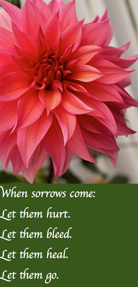 Screen Shot 2017-08-04 at 11.13.23 PM.png