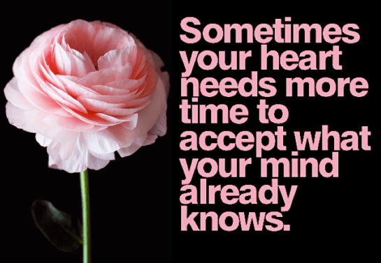 Screen Shot 2017-08-04 at 11.17.32 PM.png