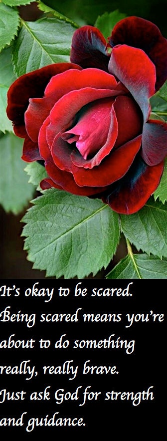 Screen Shot 2017-08-04 at 11.22.37 PM.png