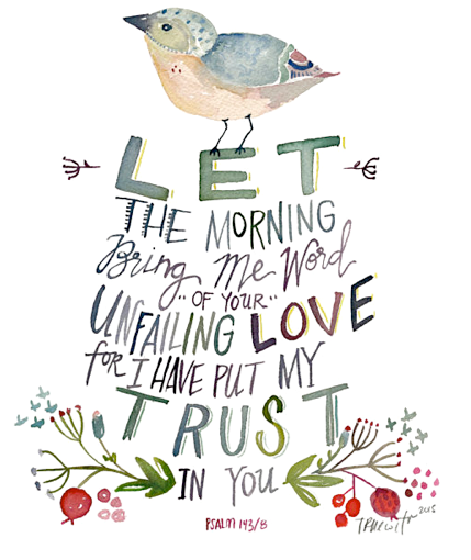 Screen Shot 2017-08-05 at 11.03.09 PM.png