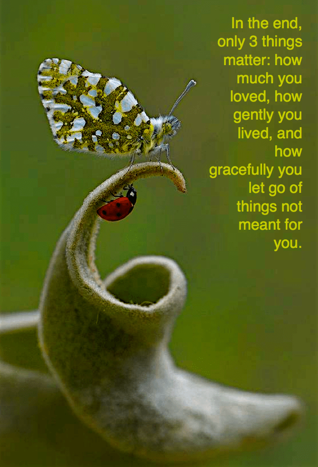 Screen Shot 2017-08-05 at 11.08.27 PM.png