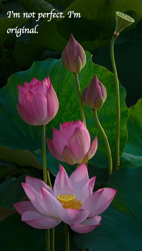 Screen Shot 2017-08-05 at 11.12.38 PM.png