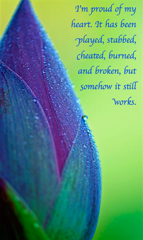 Screen Shot 2017-08-05 at 11.16.09 PM.png