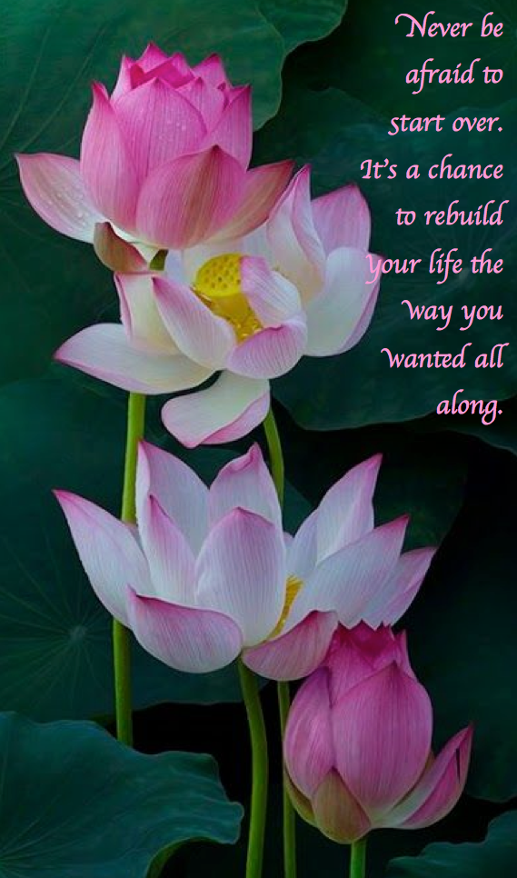 Screen Shot 2017-08-05 at 11.19.46 PM.png