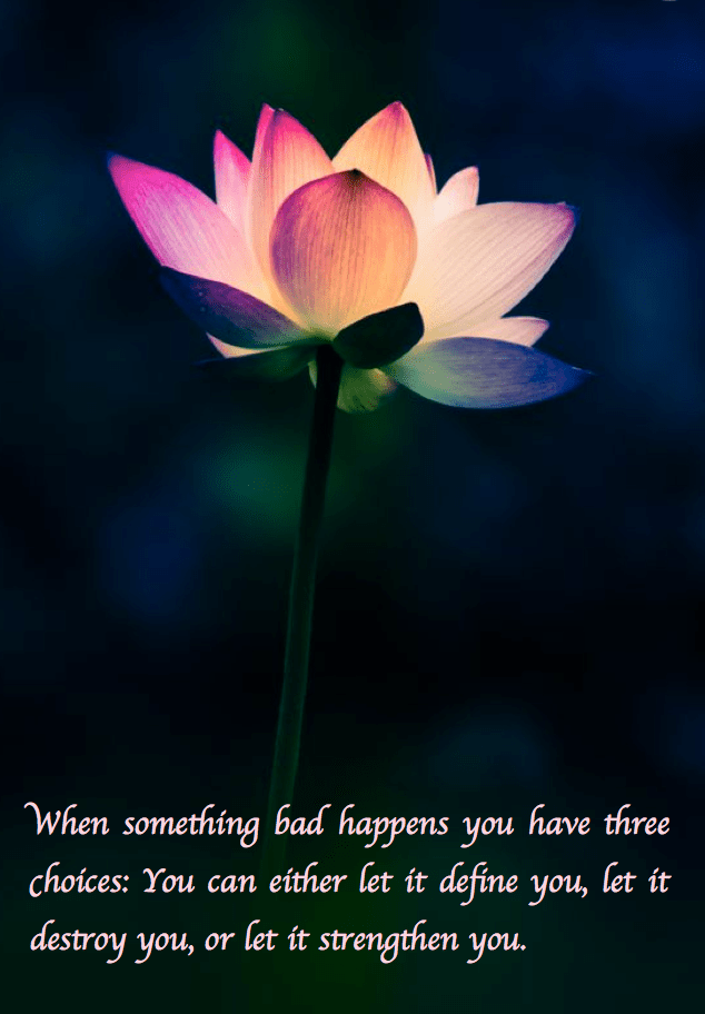 Screen Shot 2017-08-05 at 11.23.53 PM.png