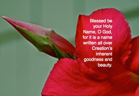 Screen Shot 2017-08-08 at 9.04.50 PM.png