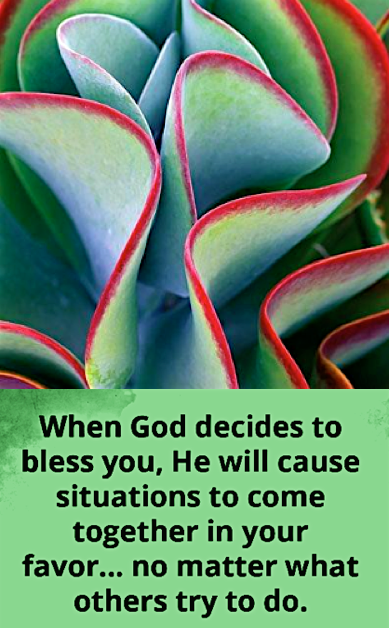 Screen Shot 2017-08-08 at 9.19.03 PM.png