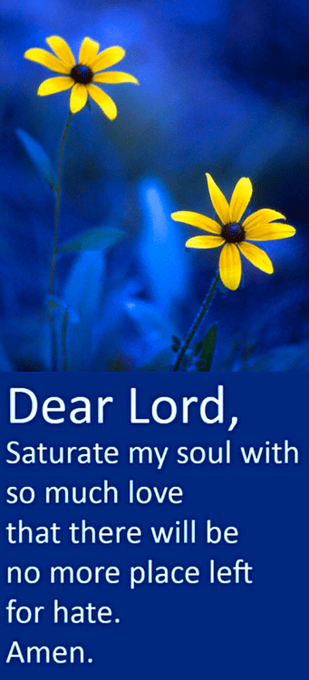 Screen Shot 2017-08-08 at 9.22.00 PM.png