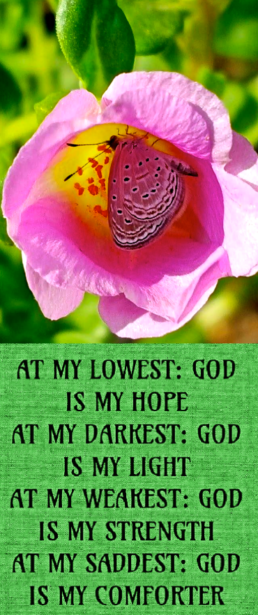 Screen Shot 2017-08-10 at 10.59.19 PM.png