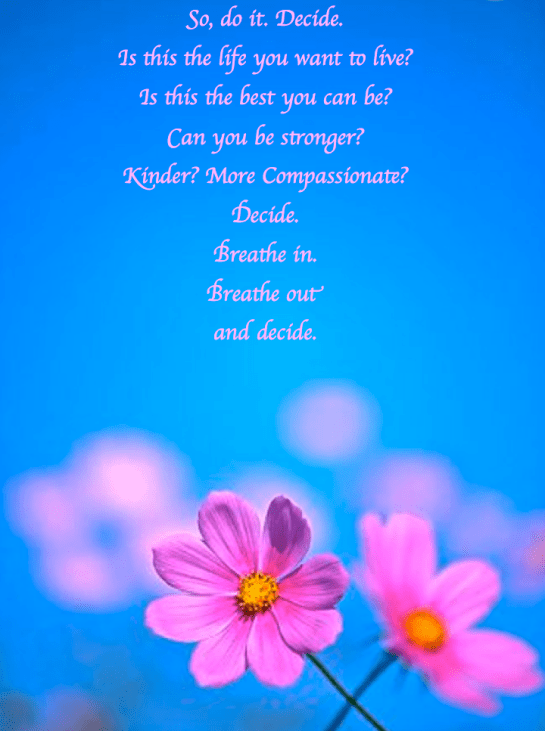 Screen Shot 2017-08-11 at 10.52.00 PM.png