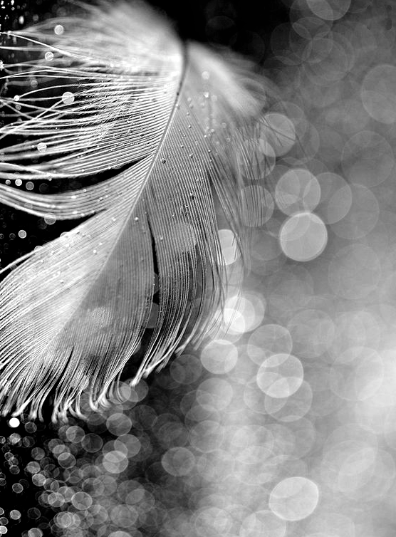 Screen Shot 2017-08-13 at 2.32.16 PM.png