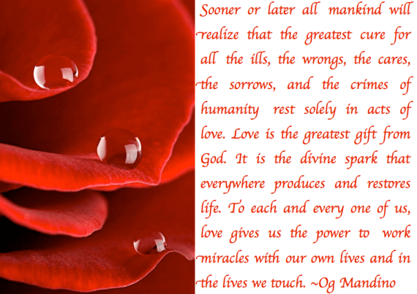 Screen Shot 2017-08-13 at 9.38.35 PM.png