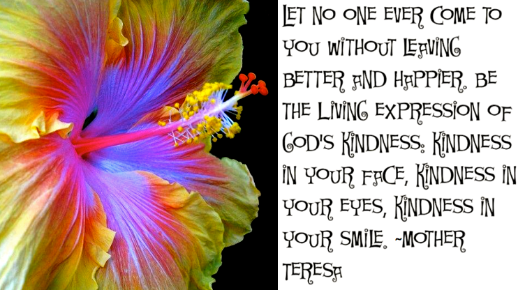 Screen Shot 2017-08-14 at 10.01.29 PM.png