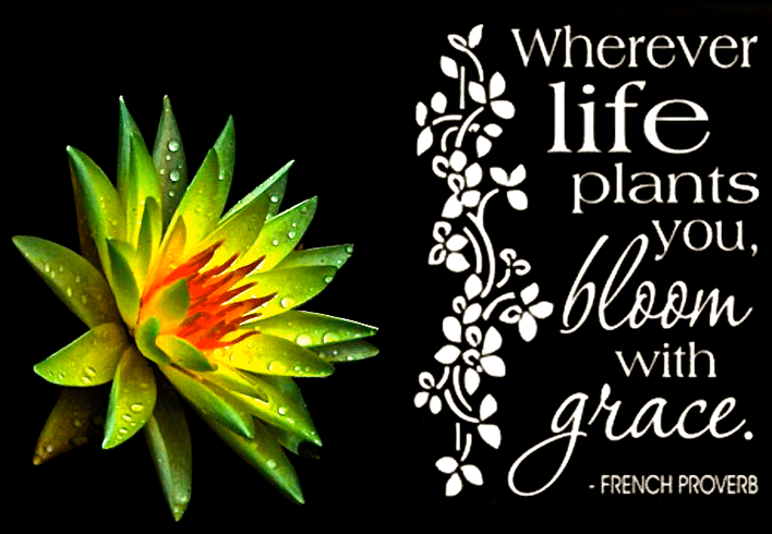 Screen Shot 2017-08-14 at 10.02.41 PM.png