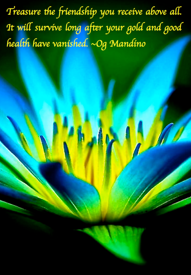 Screen Shot 2017-08-14 at 10.09.01 PM.png