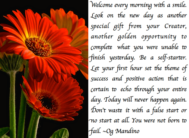 Screen Shot 2017-08-14 at 10.13.59 PM.png