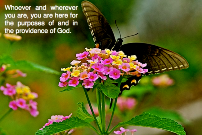 Screen Shot 2017-08-14 at 9.43.41 PM.png