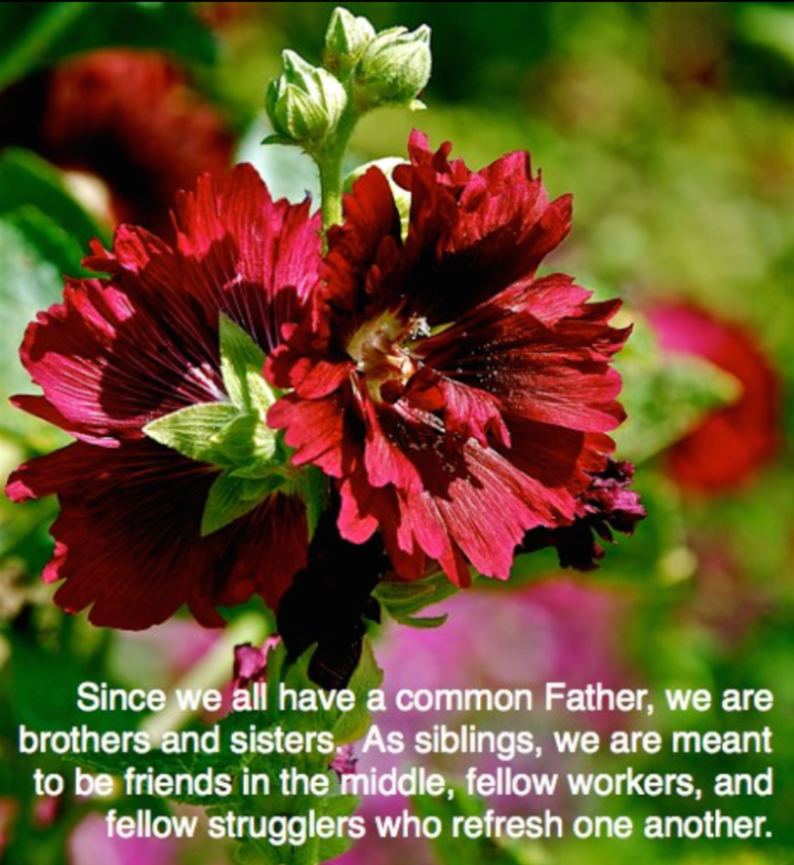 Screen Shot 2017-08-14 at 9.47.35 PM.png