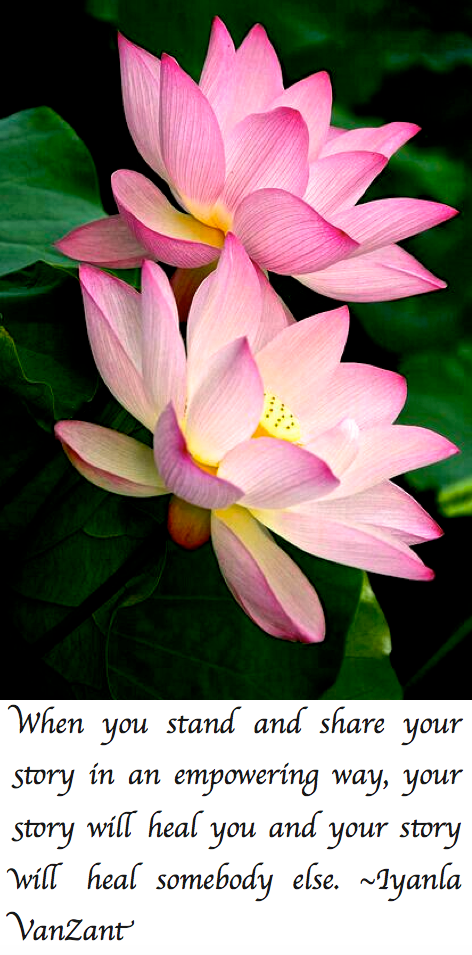 Screen Shot 2017-08-17 at 10.57.54 PM.png