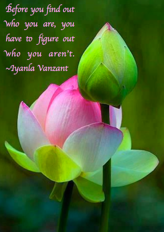 Screen Shot 2017-08-17 at 11.03.12 PM.png