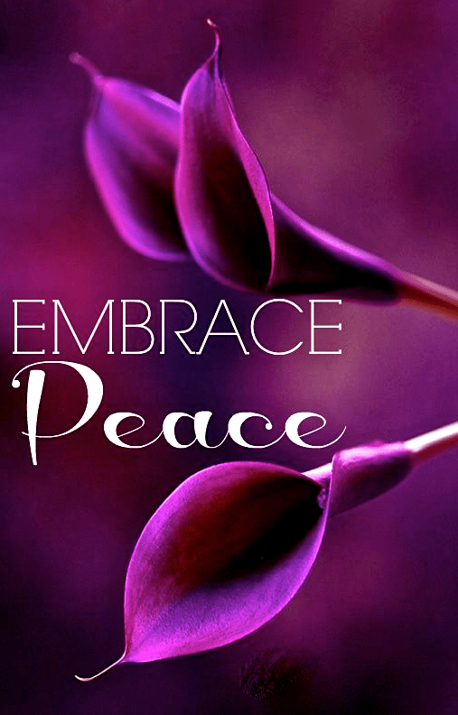 Screen Shot 2017-08-18 at 10.16.59 PM.png