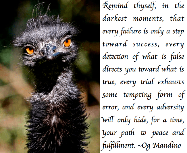 Screen Shot 2017-08-18 at 10.25.21 PM.png