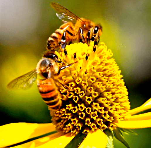 Screen Shot 2017-08-18 at 10.34.02 PM.png