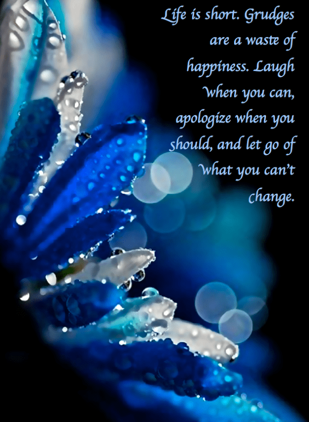 Screen Shot 2017-08-19 at 10.00.38 PM.png