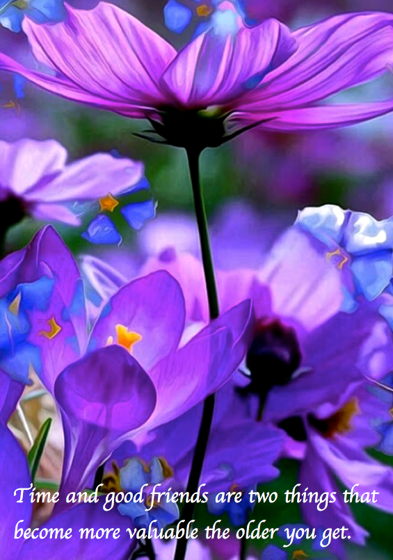 Screen Shot 2017-08-19 at 10.11.08 PM.png