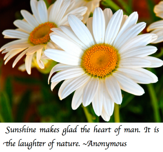 Screen Shot 2017-08-19 at 9.52.27 PM.png