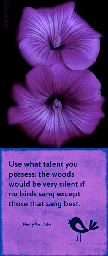 Screen Shot 2017-08-19 at 9.55.37 PM.png