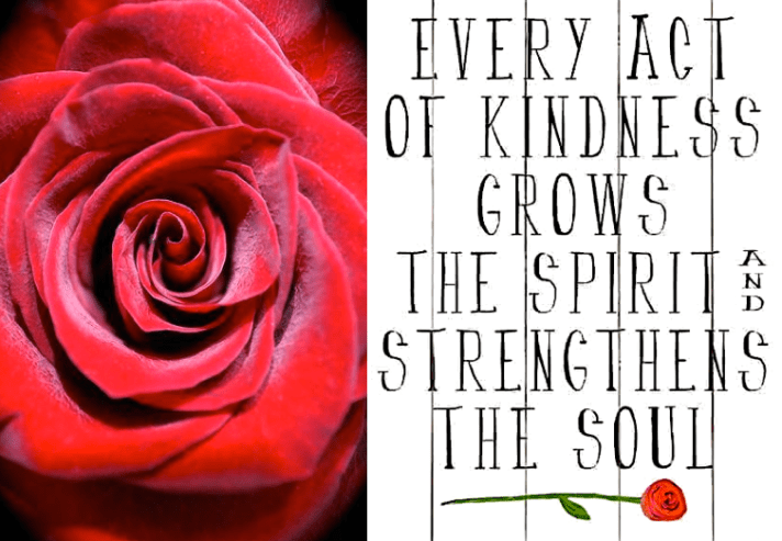 Screen Shot 2017-08-20 at 10.04.59 PM.png