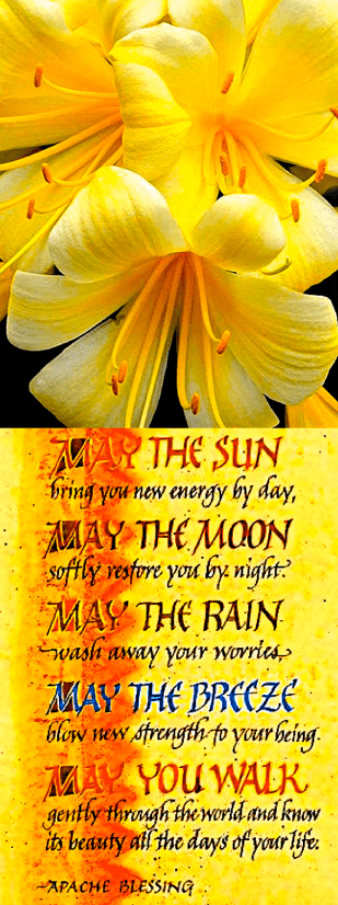 Screen Shot 2017-08-20 at 10.20.07 PM.png