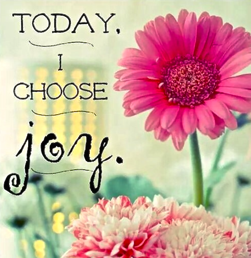 Screen Shot 2017-08-20 at 11.49.24 AM.png